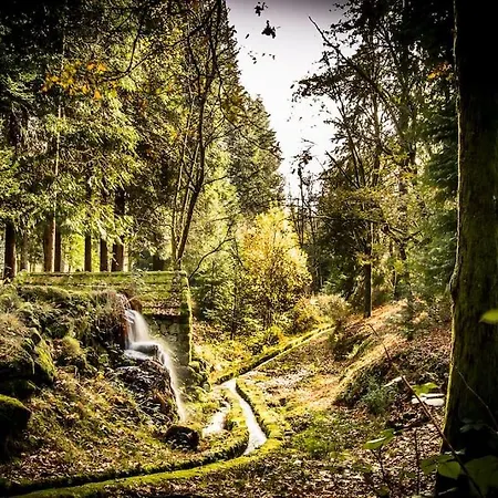 Moradia Do Paco - Piscina Privada * Arco de Baulhe